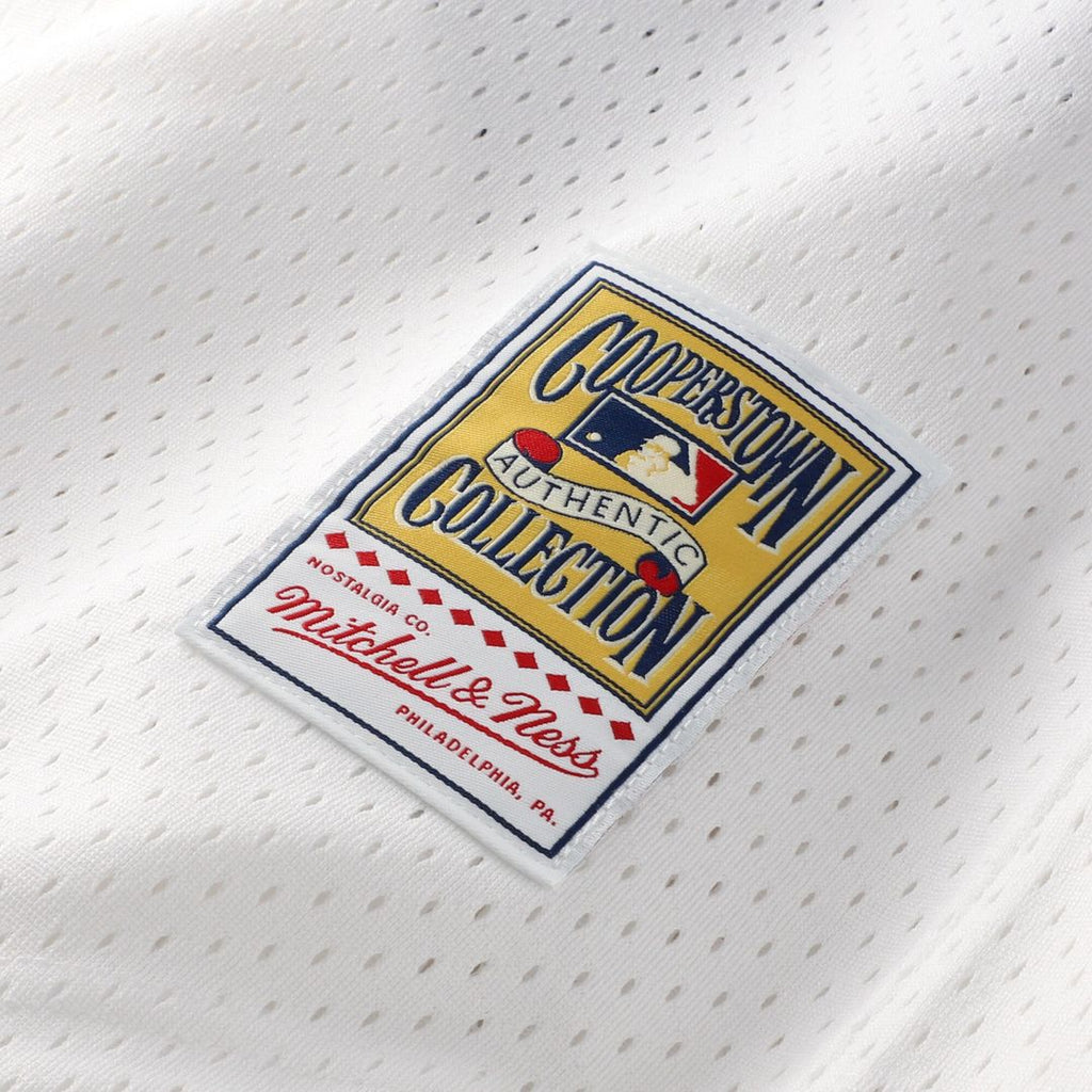 Carlton Fisk Chicago White Sox Mitchell & Ness Authentic Batting Practice Jersey - Navy