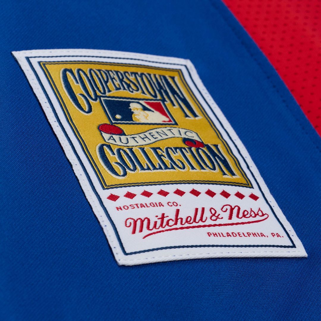 Adrian Beltre Texas Rangers Mitchell & Ness Cooperstown Mesh Batting Practice Button-Up Jersey - Royal
