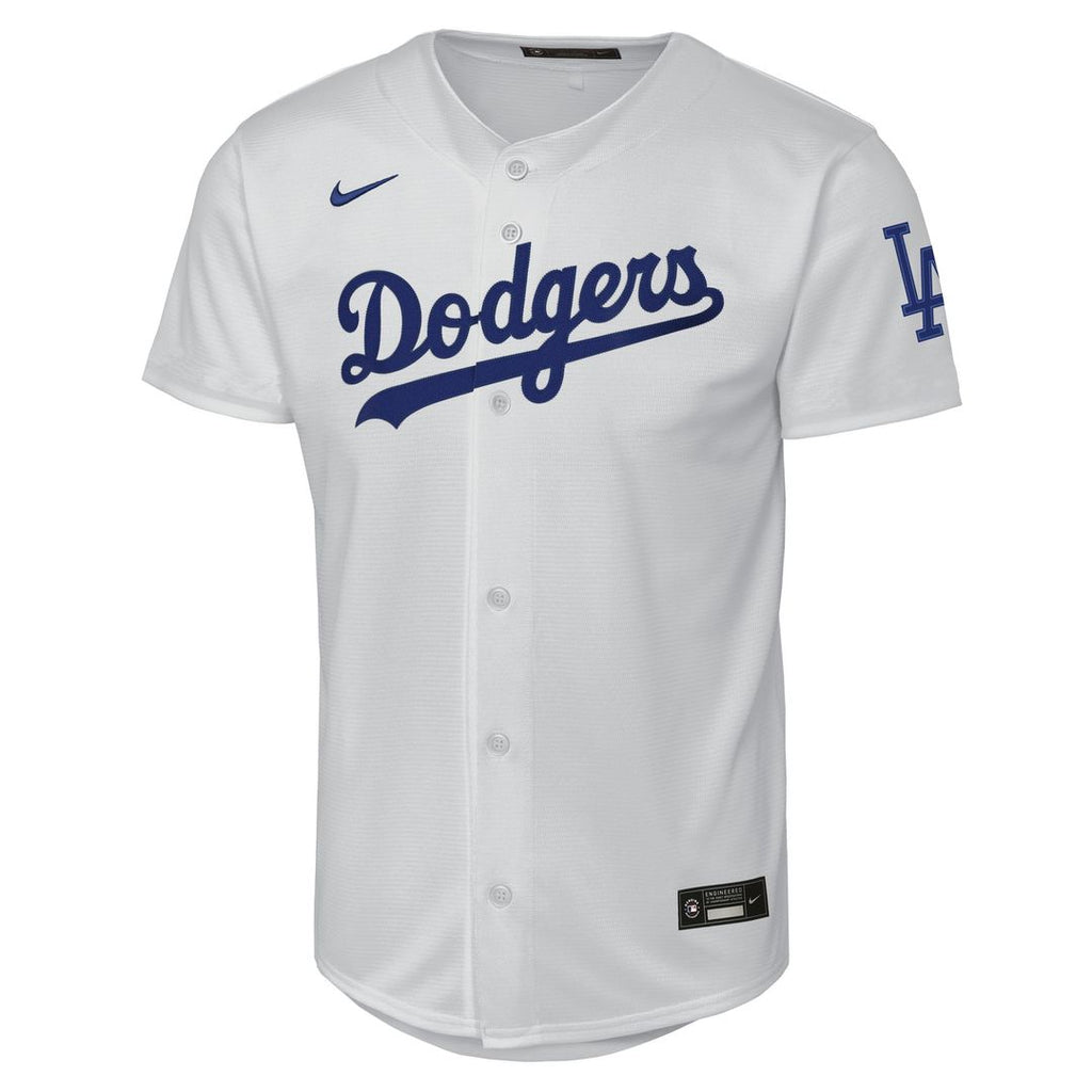 Los Angeles Dodgers Nike Youth Alternate Stadium Jersey - Gray